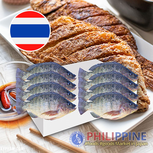 Cleaned Tilapia L Thailand 500-600gx8Kg